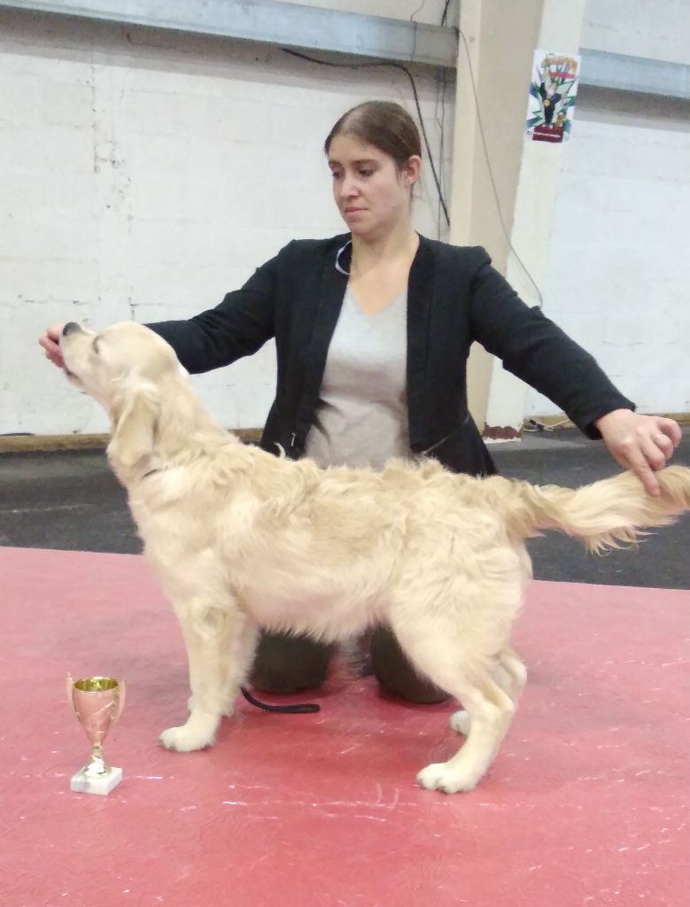 Oh hé hein bon Des Terres De Flore - Prometteur.classe Puppy