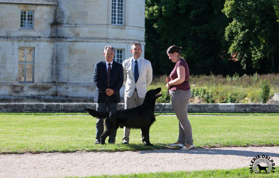 CH. Back on the track ceresna lipov - 1er.excellent.cl.ouverte.Meilleur de Race