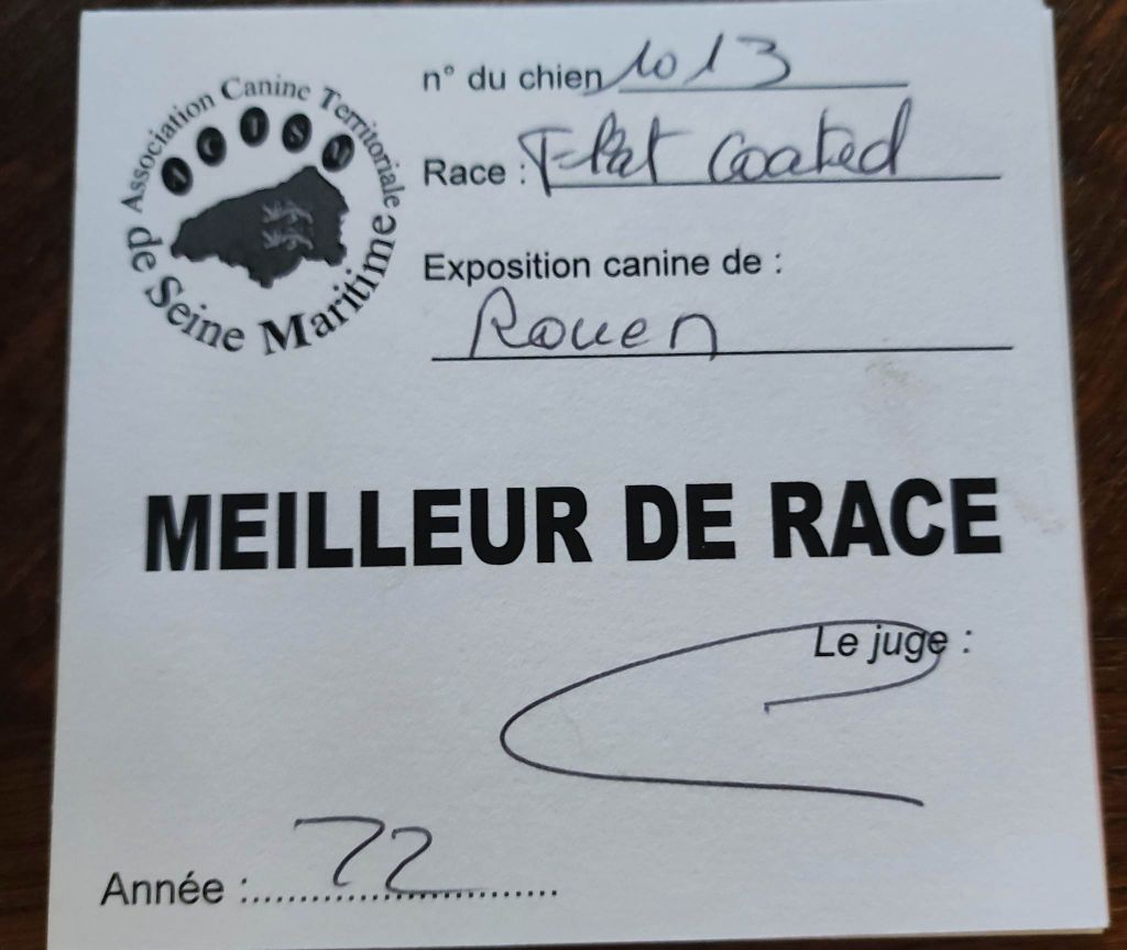 CH. Back on the track ceresna lipov - 1er.excellent.classe ouverte.CACS-meilleur de race