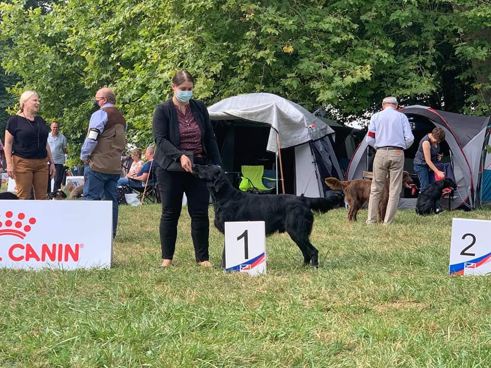 CH. Back on the track ceresna lipov - 1er.excellent classe jeune-meilleur jeune