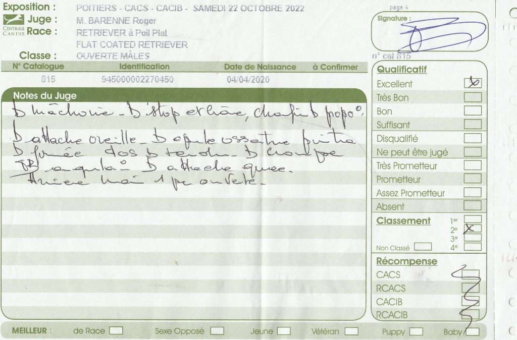 CH. Back on the track ceresna lipov - 2ème.excellent classe ouverte