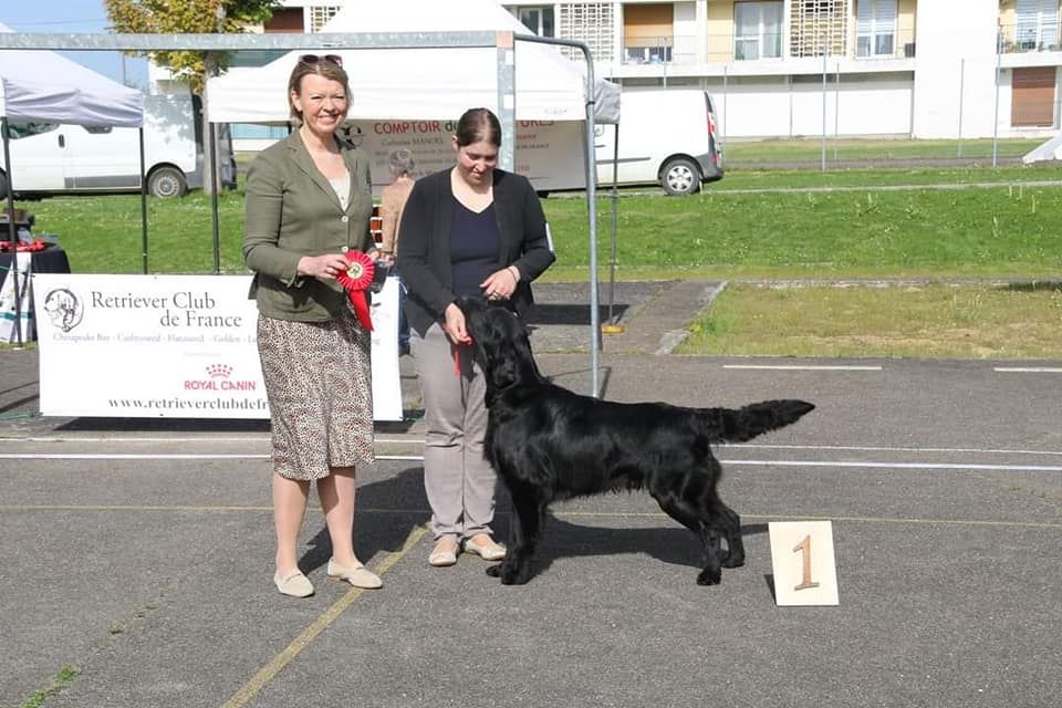 CH. Back on the track ceresna lipov - 1er.excellent.classe ouverte