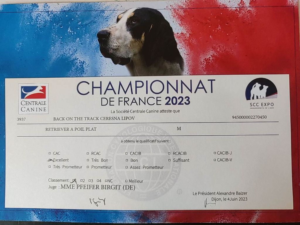 CH. Back on the track ceresna lipov - 1er.excellent.classe ouverte