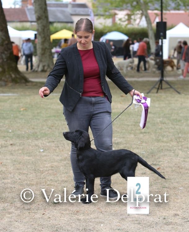 Play the game Des Terres De Flore - 2ème-Très Prometteur.classe Baby