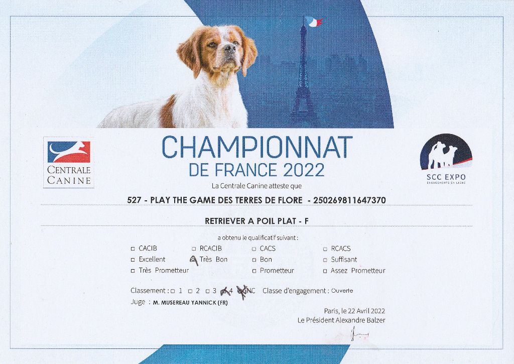 Play the game Des Terres De Flore - 4ème.TB.classe ouverte