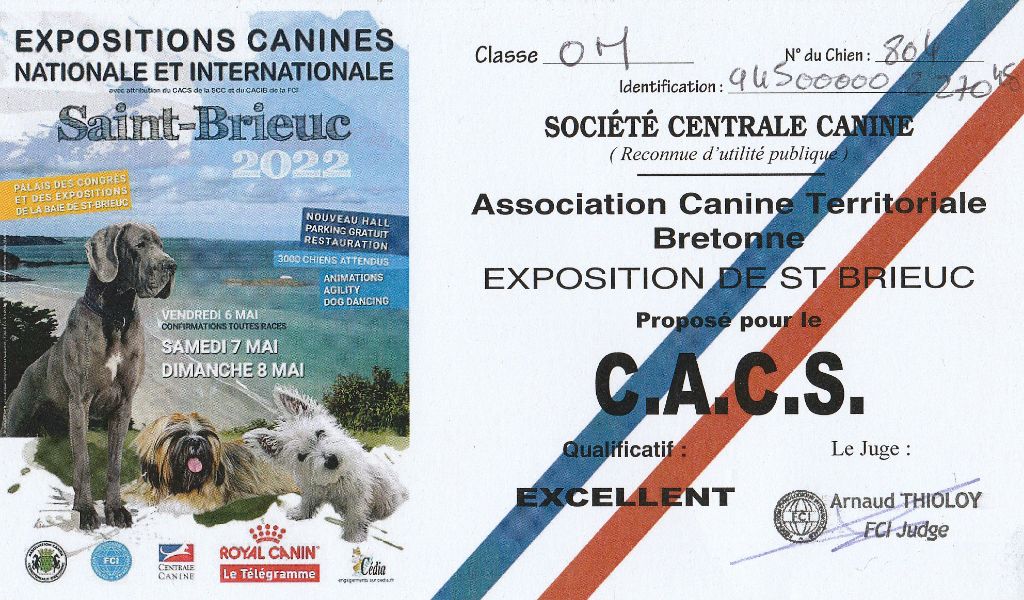 CH. Back on the track ceresna lipov - 1er.excellent.classe ouverte.CACS.Meilleur de sexe opposé