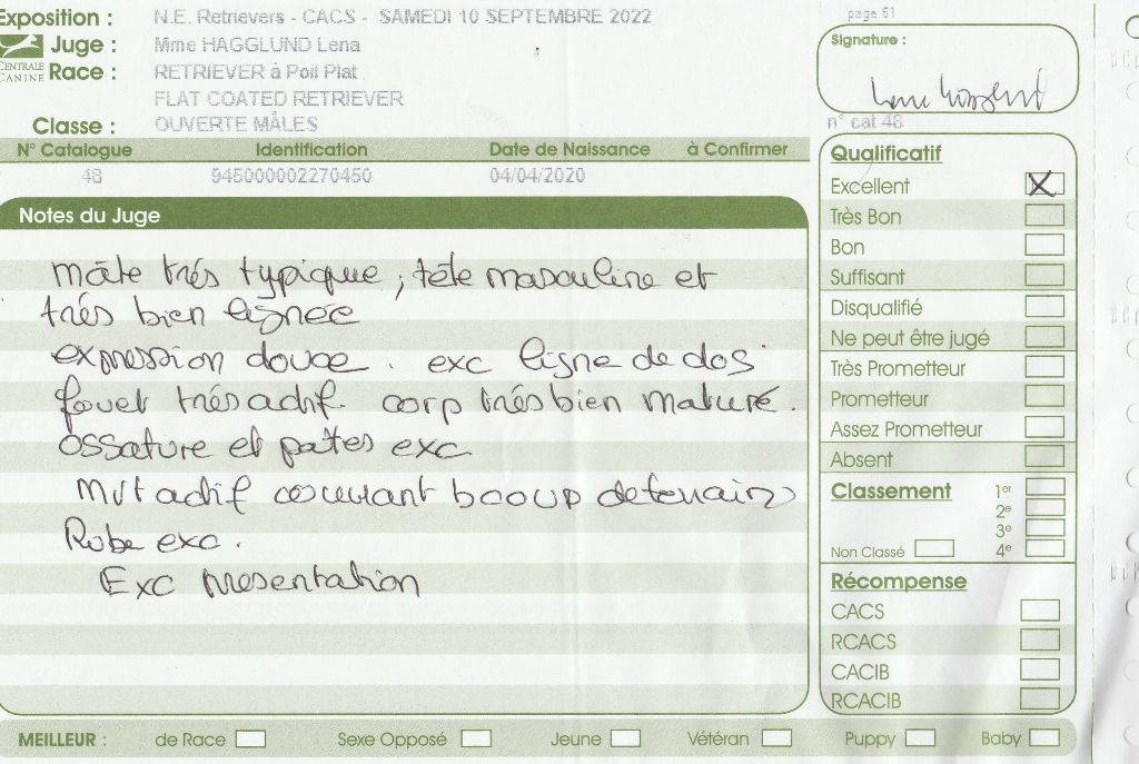 CH. Back on the track ceresna lipov - excellent.cl.ouverte