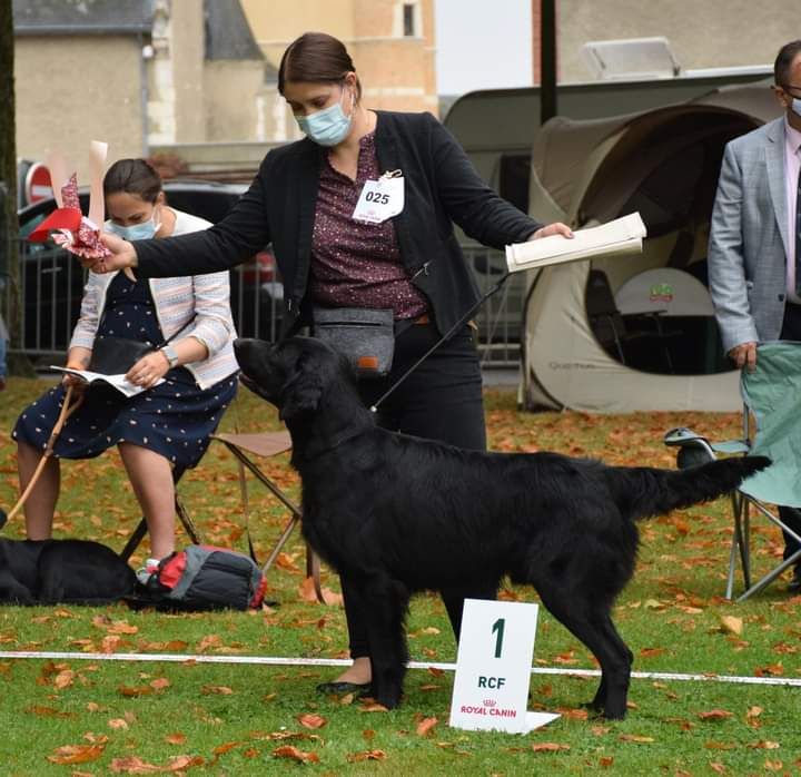 CH. Back on the track ceresna lipov - 1er.excellent.cl.intermédiaire