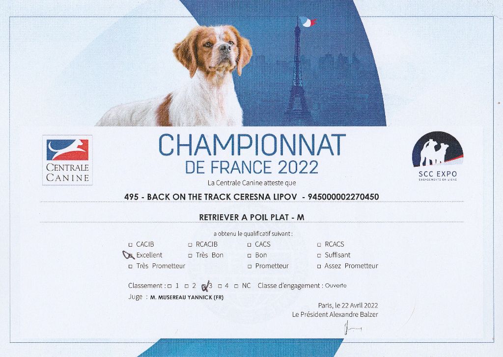 CH. Back on the track ceresna lipov - 3ème.excellent classe ouverte