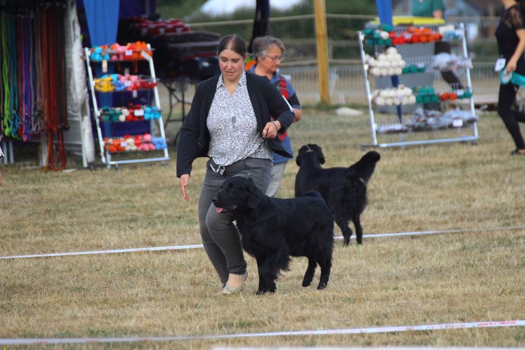 CH. Back on the track ceresna lipov - 2ème.excellent.classe ouverte