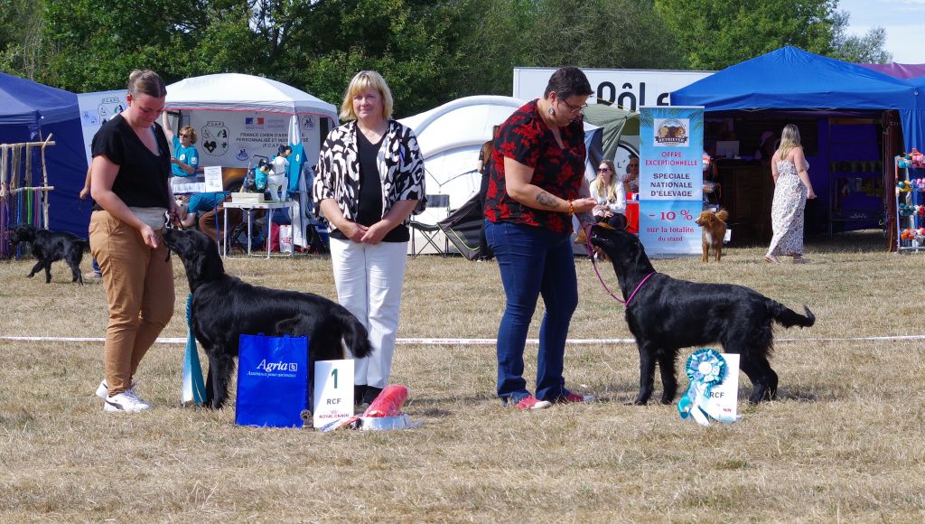 Angel Undercover The time of my life - 2ème excellent.classe jeune (juste derrière sa soeur)