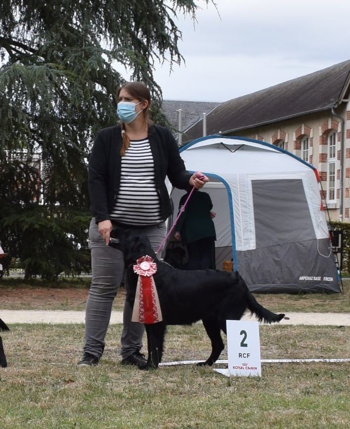 Play the game Des Terres De Flore - 2ème excl.classe jeune