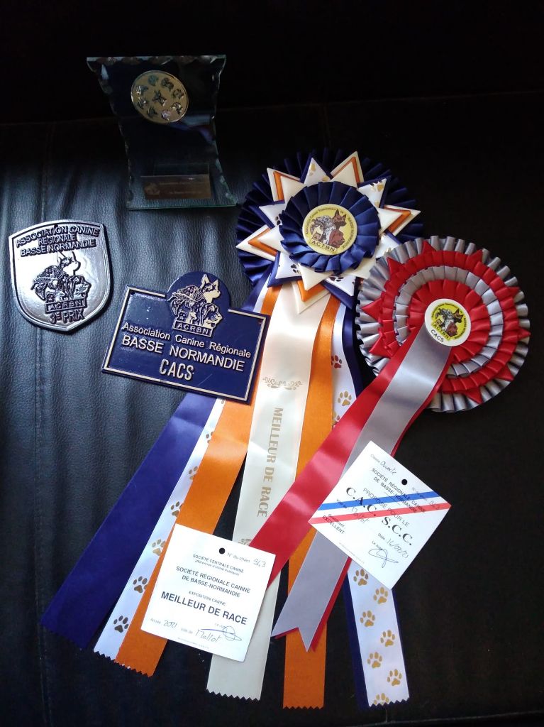 CH. Back on the track ceresna lipov - 1er.excellent classe jeune