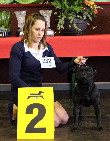 Inmate Von damon der dunkelkraft - 2eme