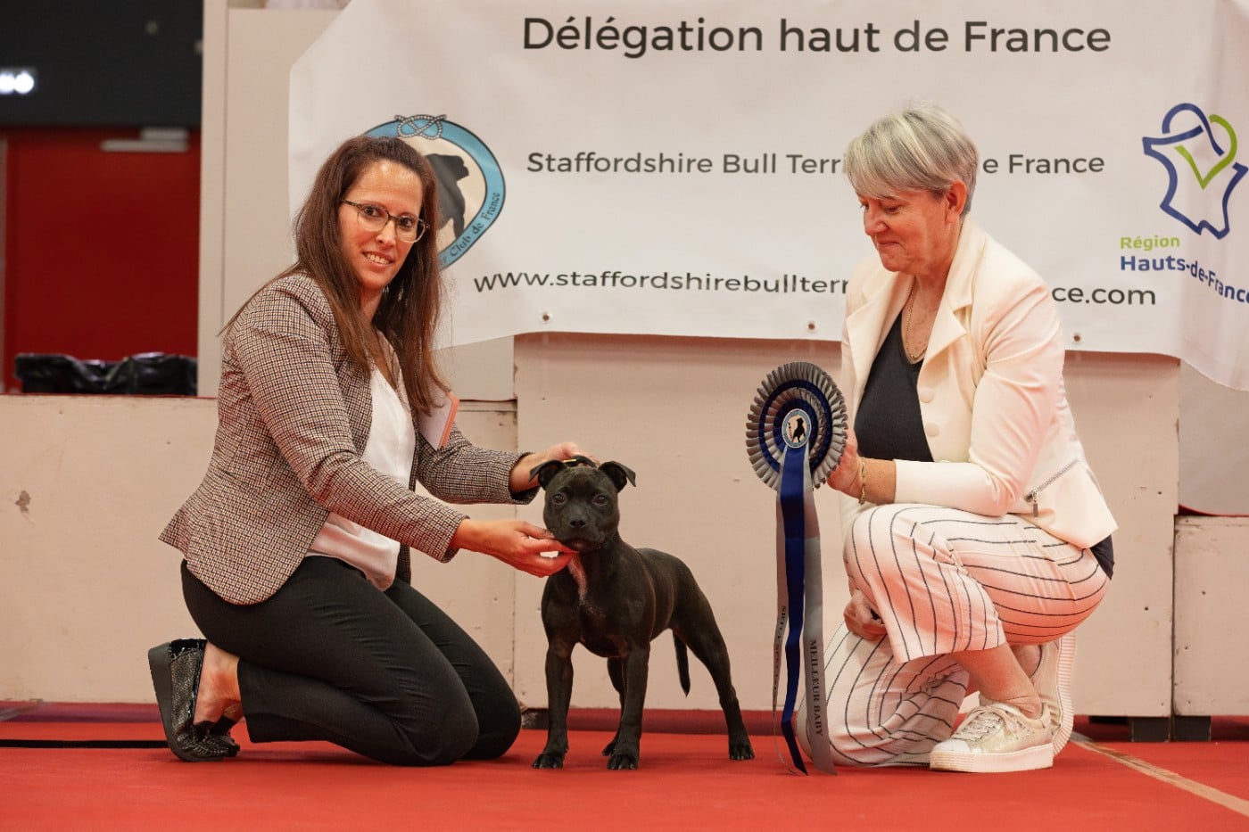 Very Hype Of Stafford Edition - 1ER TRES PROMETTEUR + BEST BABY