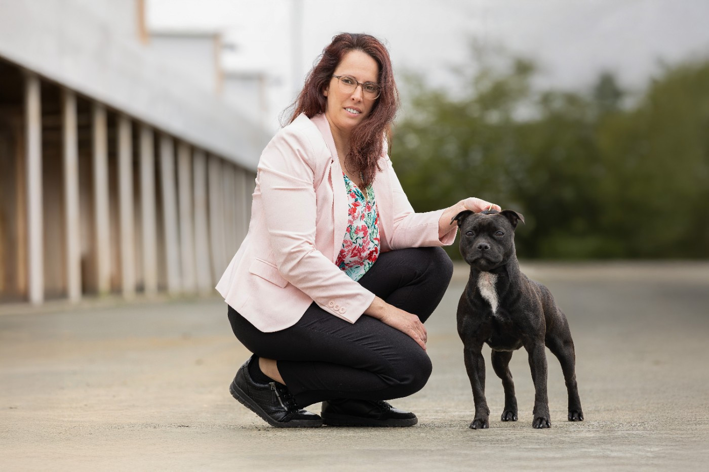 Very Hype Of Stafford Edition - 1ER EXC+ JCAC+JBOB+JBOG2