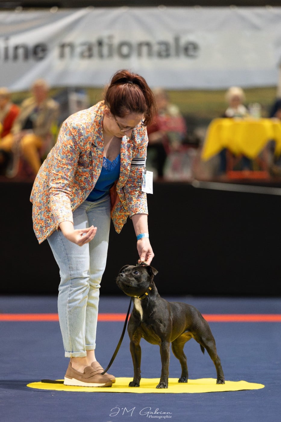 Very Hype Of Stafford Edition - 1ER EXC+ JCAC+JBOB+JBOG2