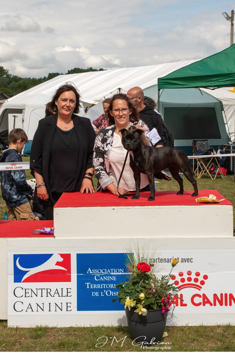 Very Hype Of Stafford Edition - 1ER EXC+JCAC+JBOB+BOB+JBOG