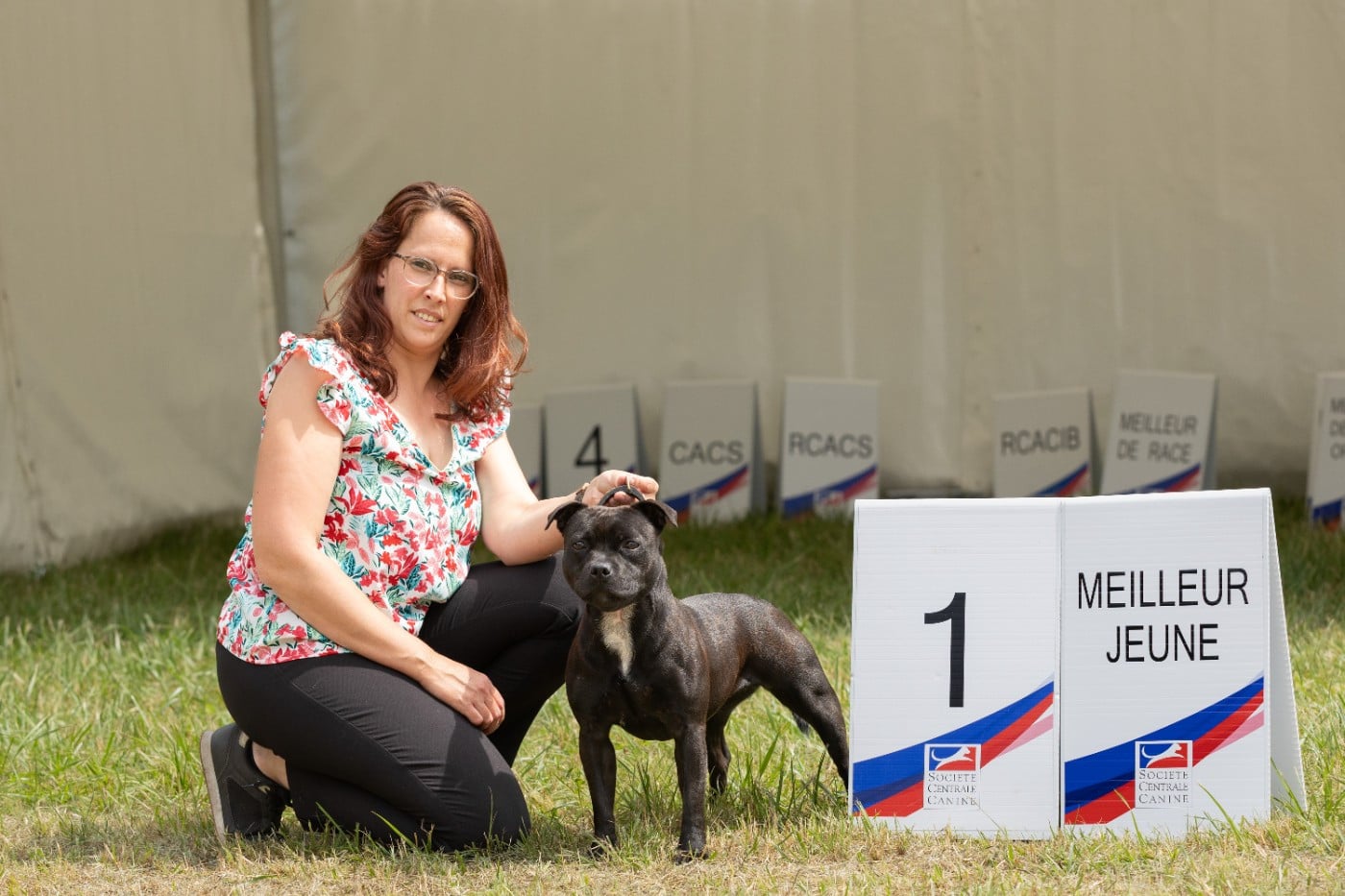 Very Hype Of Stafford Edition - 1ER EXC+ JCACIB+JBOB+JBOG3