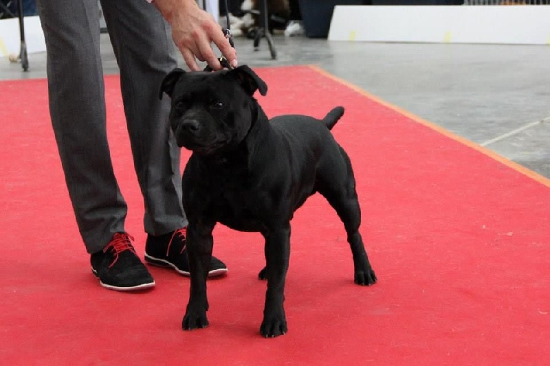 Inmate Von damon der dunkelkraft - 2ème excellent