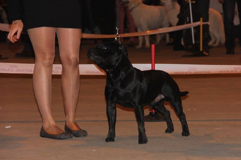 Inmate Von damon der dunkelkraft - 2eme Excellent + RCACS / 8