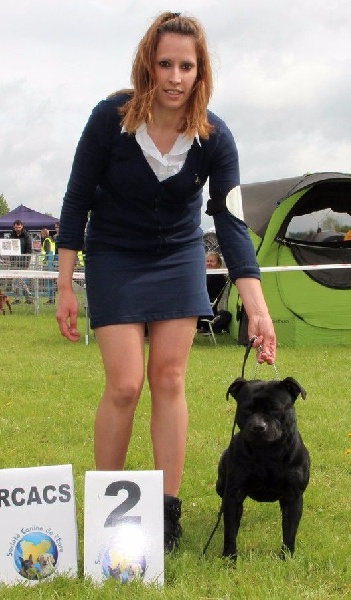 Inmate Von damon der dunkelkraft - 1er EXCELLENT + RCACS