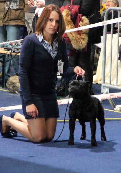 Inmate Von damon der dunkelkraft - 4eme Excellent / 8