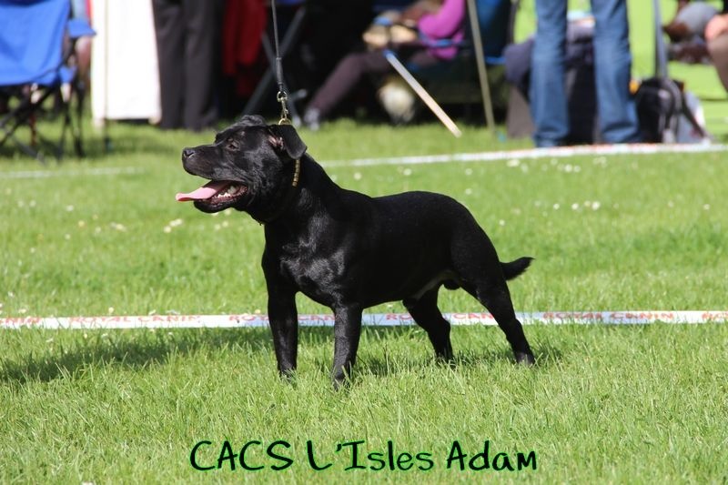 Inmate Von damon der dunkelkraft - Prometteur