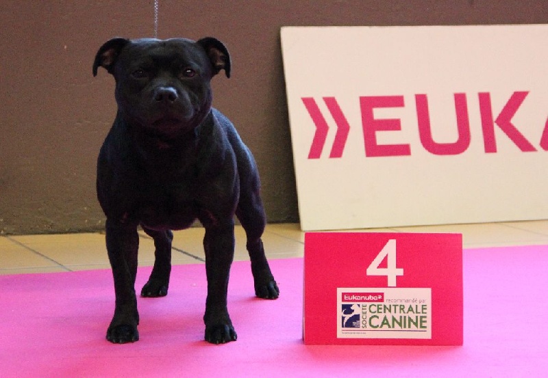 Inmate Von damon der dunkelkraft - 4eme Tres bon / 14