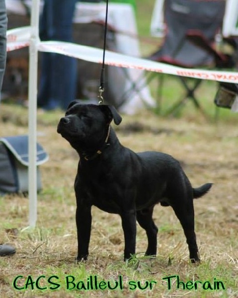 Inmate Von damon der dunkelkraft - Promising