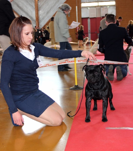 Inmate Von damon der dunkelkraft - 3eme EXCELLENT / 7