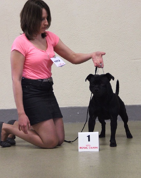 Inmate Von damon der dunkelkraft - 1er EXCELLENT / 17