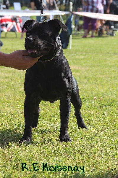 Inmate Von damon der dunkelkraft - 3ème Very Promising