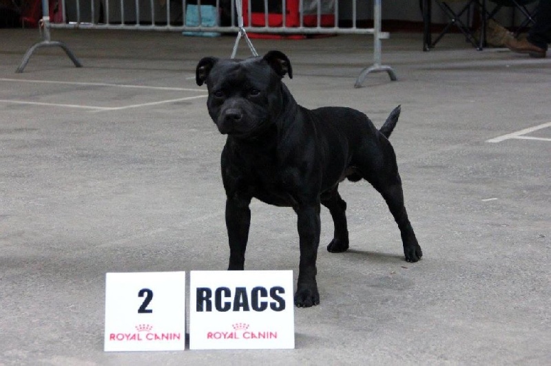 Inmate Von damon der dunkelkraft - 2eme Excellent + RCACS