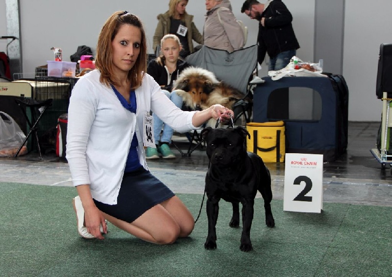 Inmate Von damon der dunkelkraft - 2nd excellent + RCAC VDH