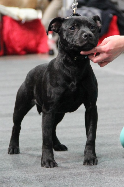 Inmate Von damon der dunkelkraft - Very Promising