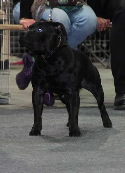 Inmate Von damon der dunkelkraft - EXCELLENT