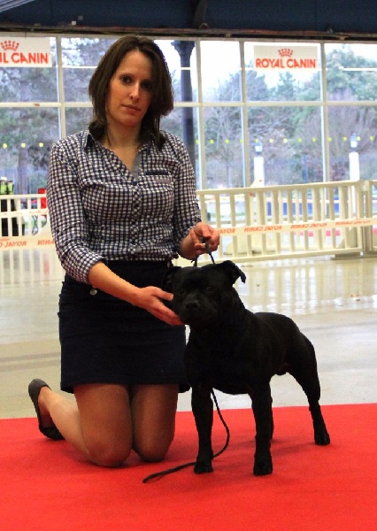 Inmate Von damon der dunkelkraft - 2EME EXCELLENT / 10