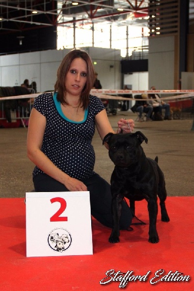 Inmate Von damon der dunkelkraft - 2nd Excellent /7