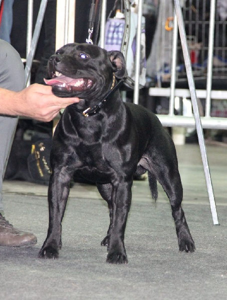 Inmate Von damon der dunkelkraft - Excellent