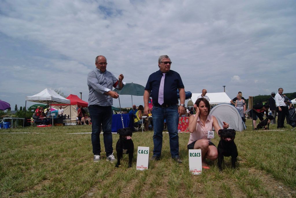 Inmate Von damon der dunkelkraft - 2E EXCELLENT + RCACS