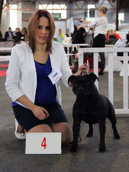 Inmate Von damon der dunkelkraft - 4st Excellent /10