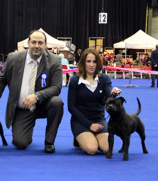 Inmate Von damon der dunkelkraft - 1er EXCELLENT / 9