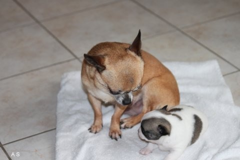 Publication : Small And Snob Auteur : Mireille & André