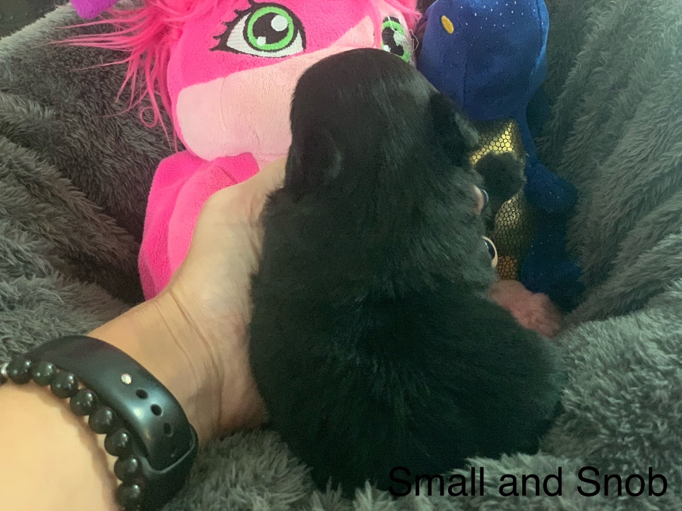 Petit bonhomme poil long noir