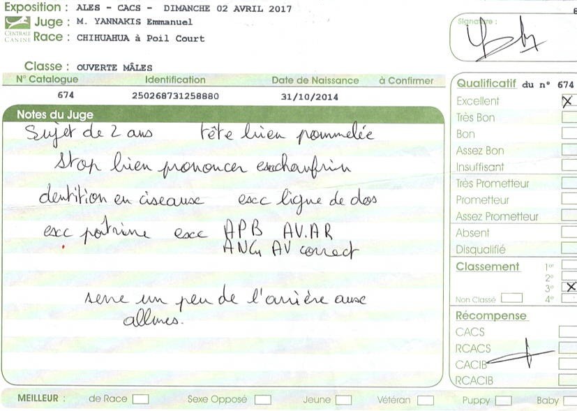 Jealous guy du Royaume d'Isthar - EXCELLENT