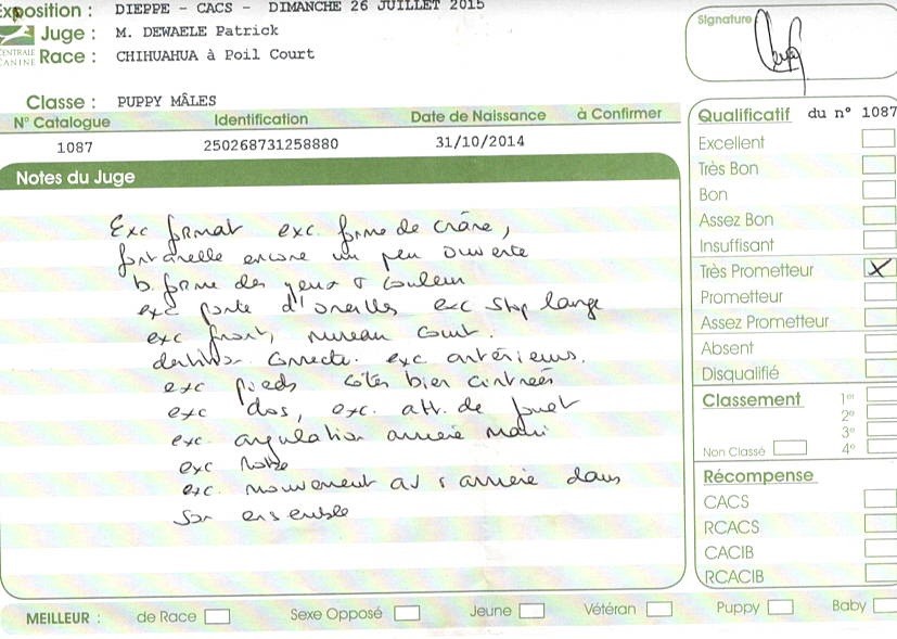 Jealous guy du Royaume d'Isthar - TRÈS PROMETTEUR