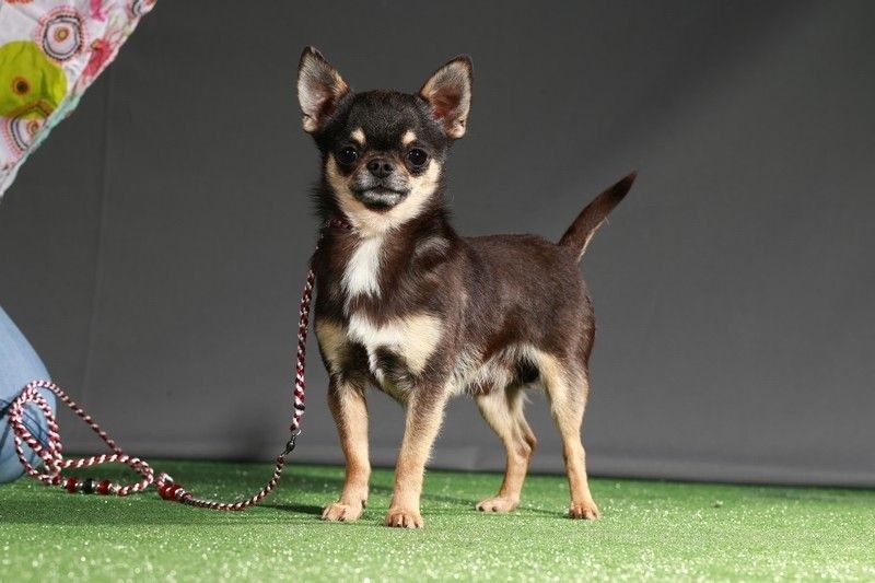 Jealous guy du Royaume d'Isthar - 4E EXCELLENT