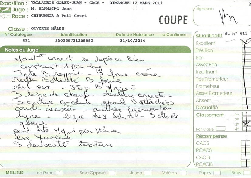 Jealous guy du Royaume d'Isthar - EXCELLENT