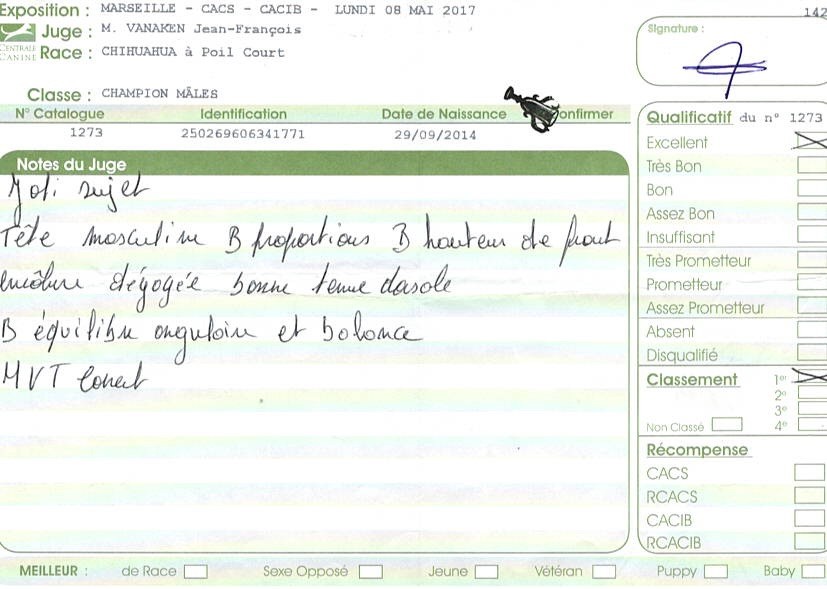 Jealous guy du Royaume d'Isthar - 1er EXCELLENT